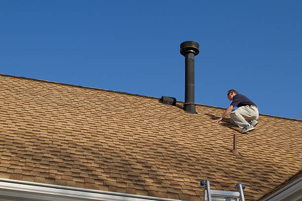 Best Solar Panel Roofing Installation  in Dillon, SC